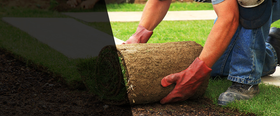 Birchwood Landscapers